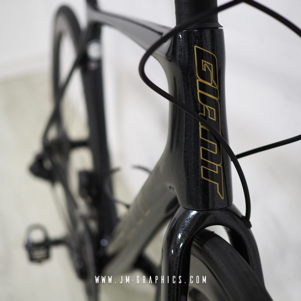 Giant TCR Advanced Disc 2021 - JM Graphics