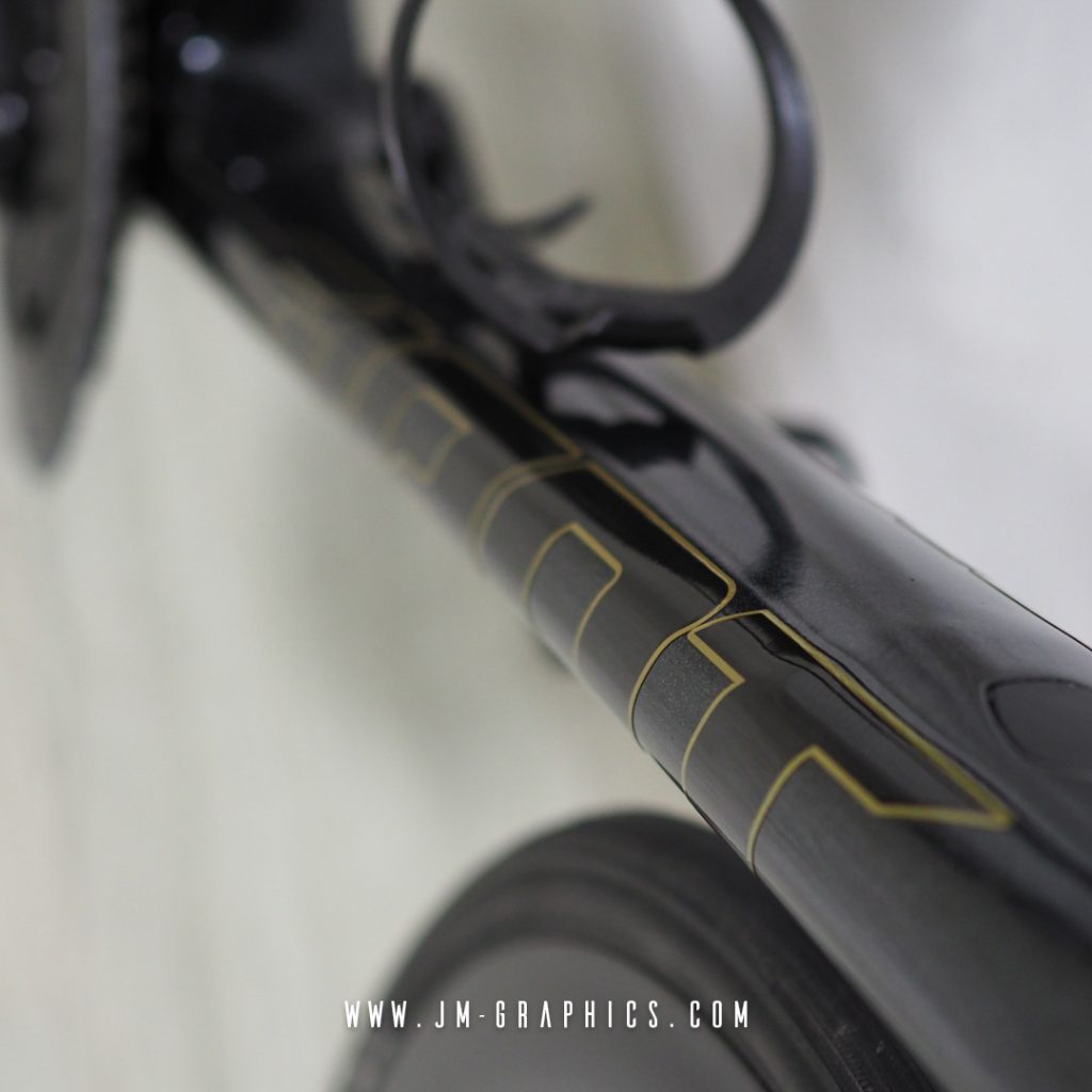 Giant TCR Advanced Disc 2021 - JM Graphics