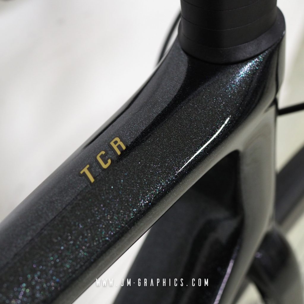 Giant TCR Advanced Disc 2021 - JM Graphics