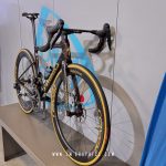 Glossy Chrome Gold Leaf Graphics with Carbon Grey Background - Specialized S-Works Tarmac SL8 2024 - Roval Rapide CLX 2021, CLX 2 II 2022