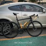 Cut Chrome Gold Graphics - Specialized S-Works Tarmac SL8 RTP 2024