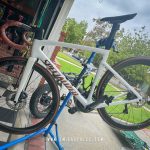 Printed Glossy Wood Graphics with Black Background - Specialized Tarmac SL7 2021