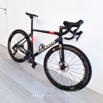 9th Wave Avalon 50 Disc 2019 - Matte metallic black graphics with champagne background